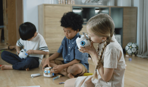 mTiny Discovery para instituciones y proyectos